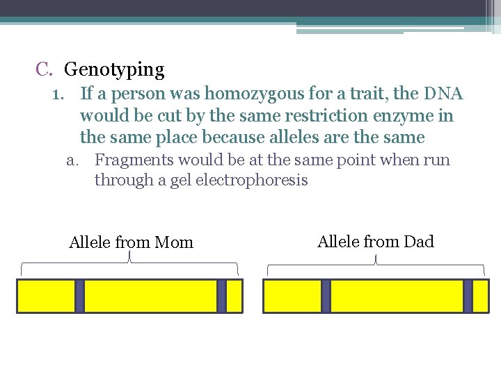 C. Genotyping 1. If a person was homozygous for a trait, the DNA would