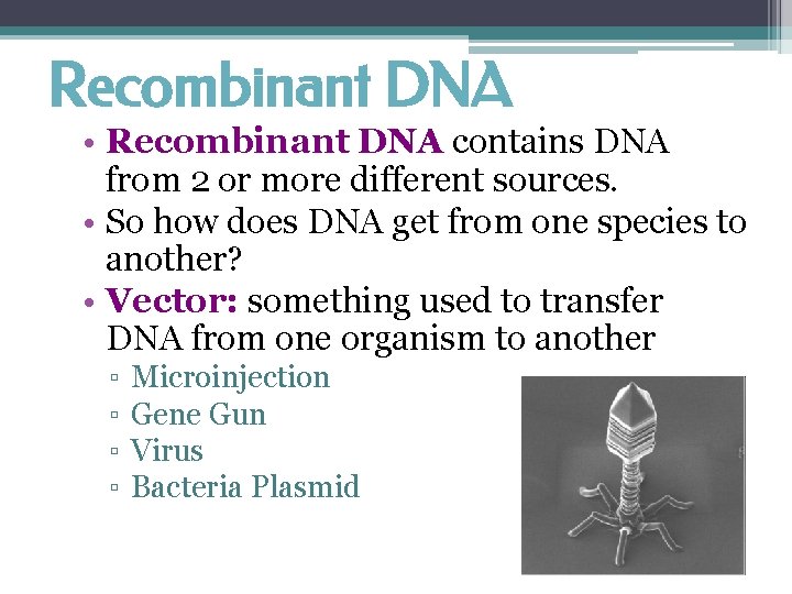 Recombinant DNA • Recombinant DNA contains DNA from 2 or more different sources. •