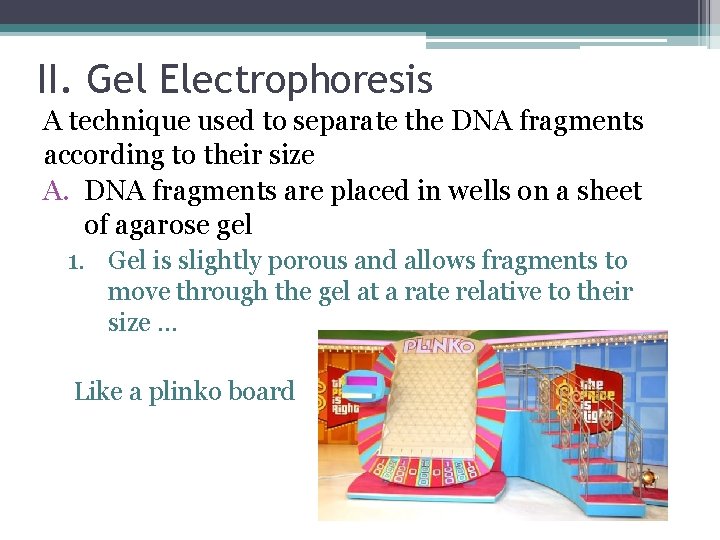 II. Gel Electrophoresis A technique used to separate the DNA fragments according to their