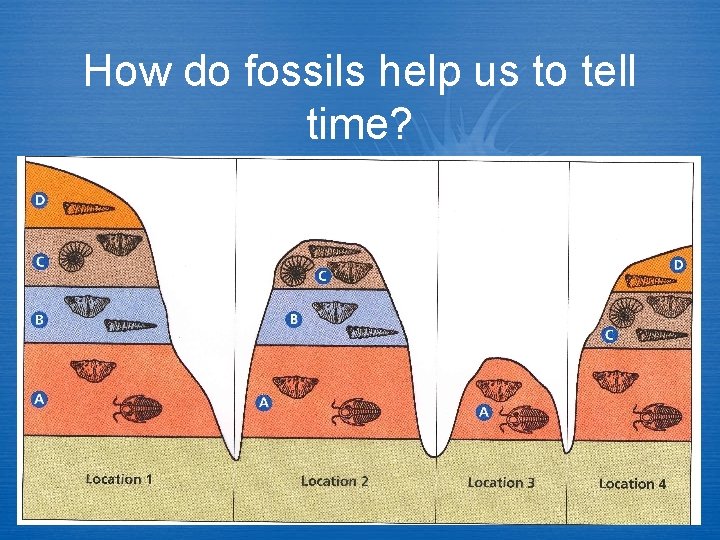 How do fossils help us to tell time? How do fossils help us to tell time?