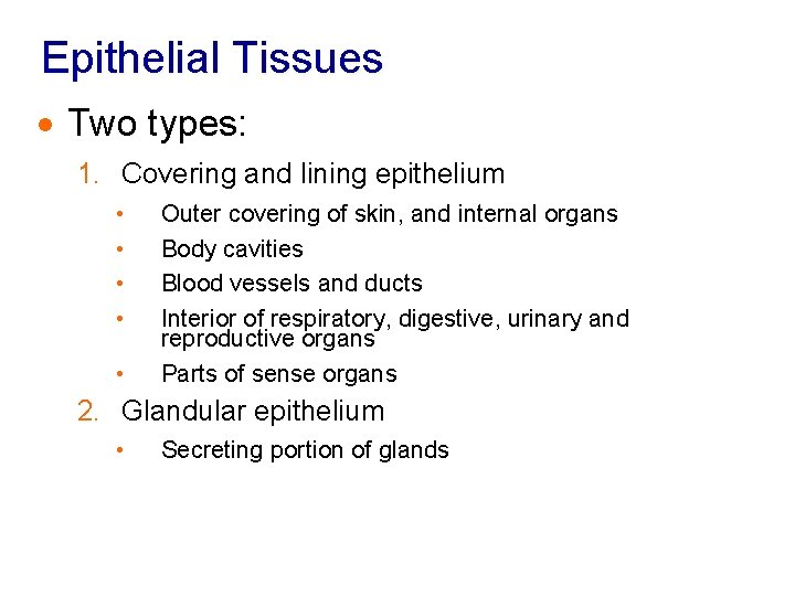 Epithelial Tissues · Two types: 1. Covering and lining epithelium • • • Outer