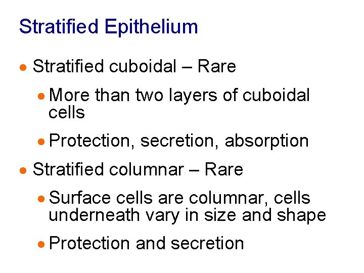 Stratified Epithelium · Stratified cuboidal – Rare · More than two layers of cuboidal