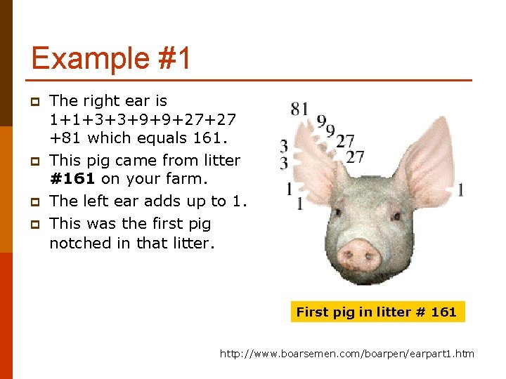 Example #1 p p The right ear is 1+1+3+3+9+9+27+27 +81 which equals 161. This