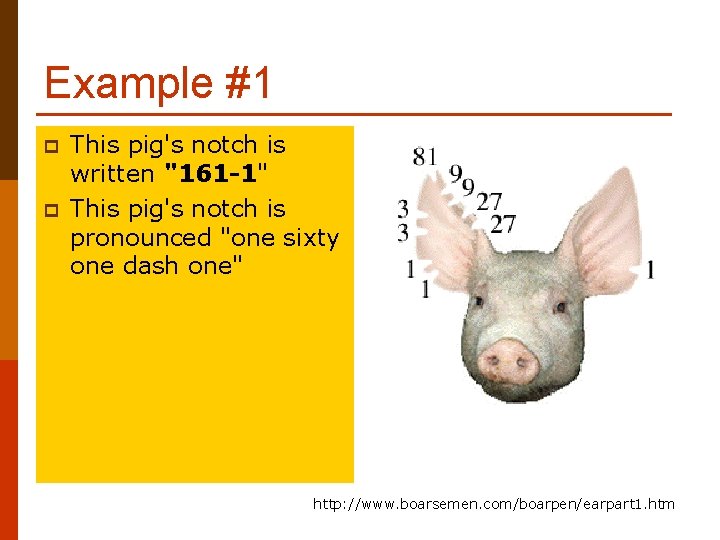 Example #1 p p This pig's notch is written "161 -1" This pig's notch
