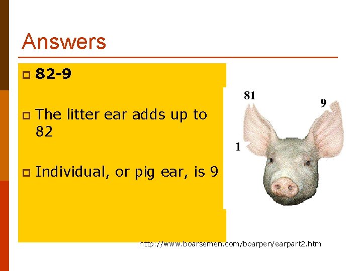 Answers p 82 -9 p The litter ear adds up to 82 p Individual,