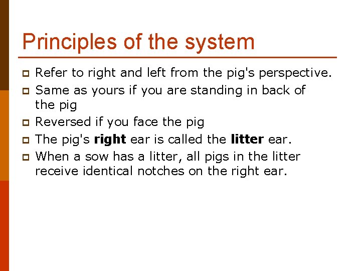 Principles of the system p p p Refer to right and left from the