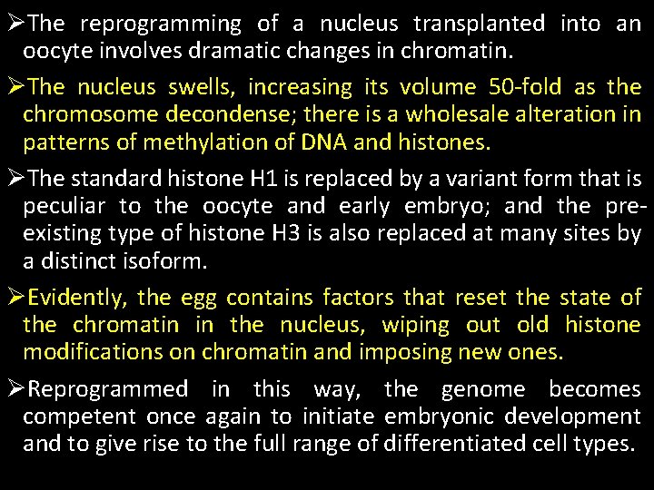 ØThe reprogramming of a nucleus transplanted into an oocyte involves dramatic changes in chromatin.