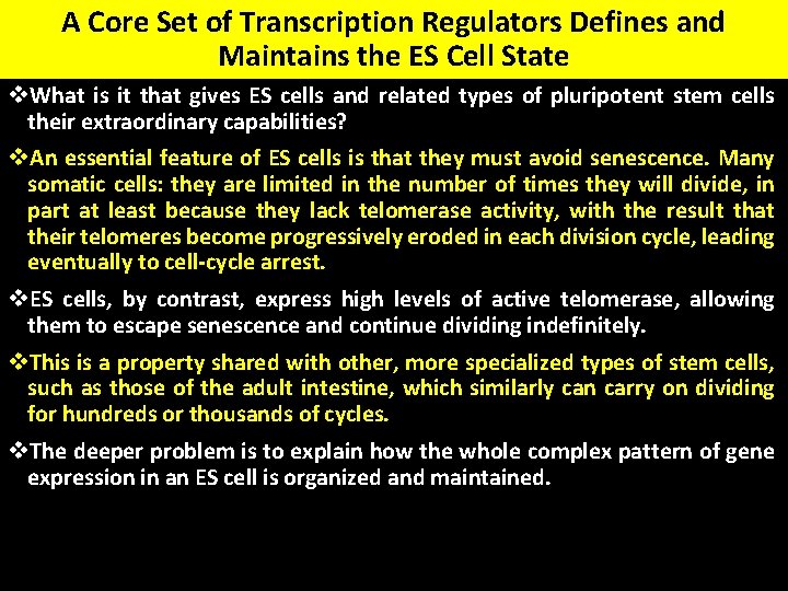 A Core Set of Transcription Regulators Defines and Maintains the ES Cell State v.