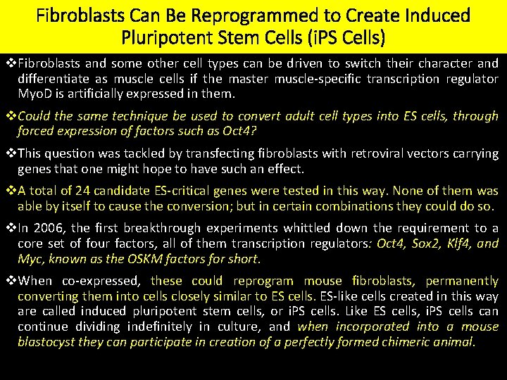 Fibroblasts Can Be Reprogrammed to Create Induced Pluripotent Stem Cells (i. PS Cells) v.