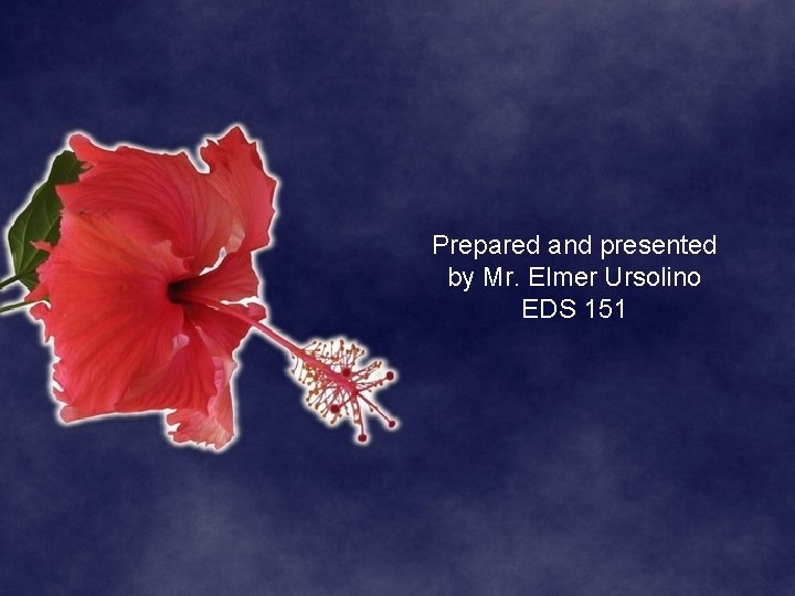 Prepared and presented by Mr. Elmer Ursolino EDS 151 