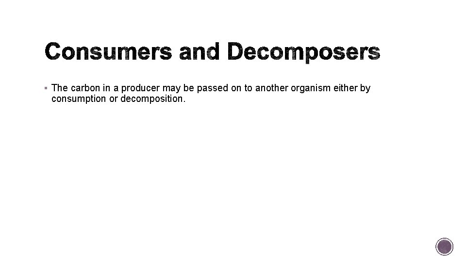 § The carbon in a producer may be passed on to another organism either