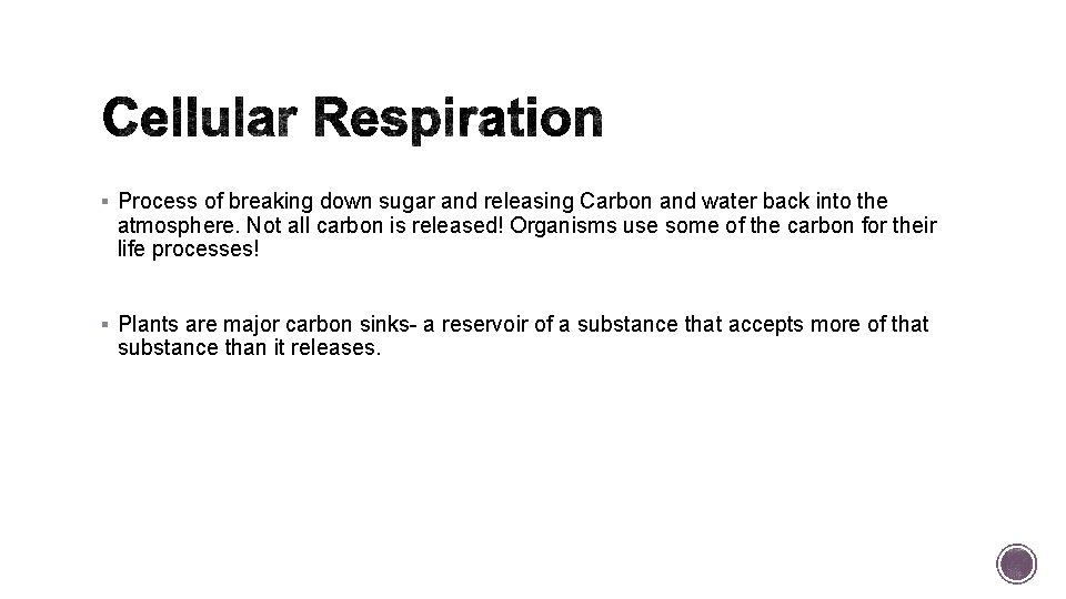 § Process of breaking down sugar and releasing Carbon and water back into the