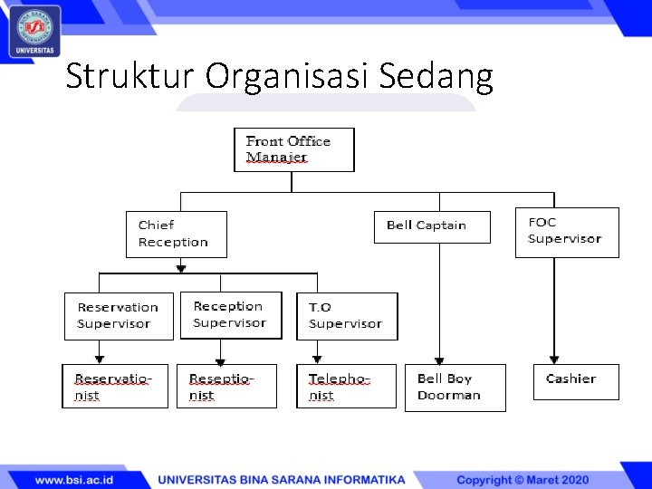 Struktur Organisasi Sedang 