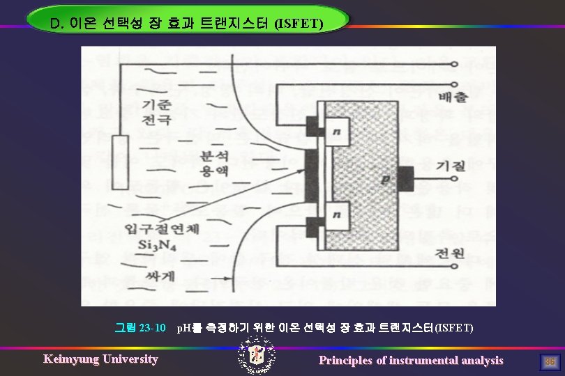 D. 이온 선택성 장 효과 트랜지스터 (ISFET) 그림 23 -10 Keimyung University p. H를