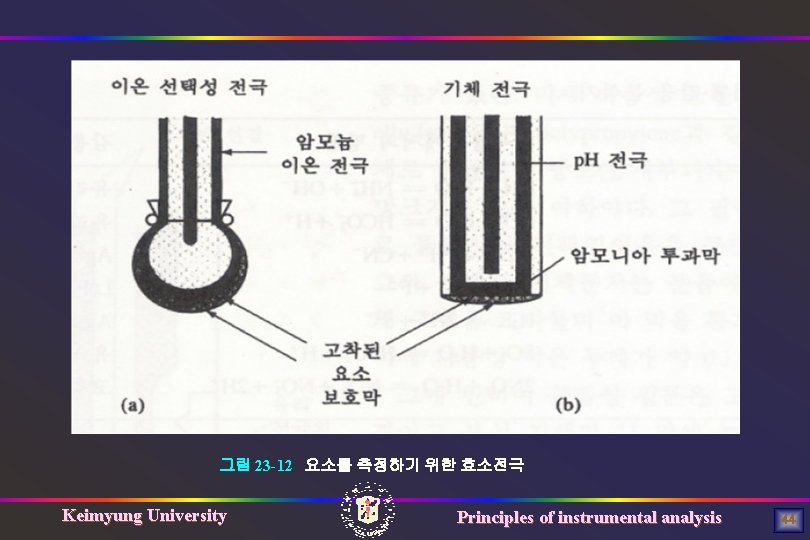 그림 23 -12 요소를 측정하기 위한 효소전극 Keimyung University Principles of instrumental analysis 44