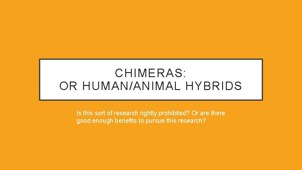 CHIMERAS: OR HUMAN/ANIMAL HYBRIDS Is this sort of research rightly prohibited? Or are there