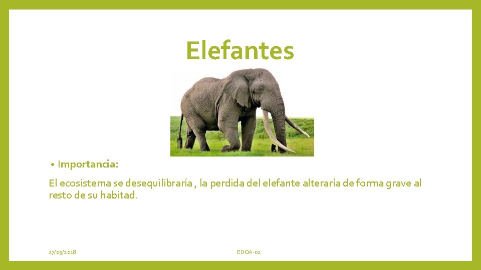 Elefantes • Importancia: El ecosistema se desequilibraría , la perdida del elefante alteraría de