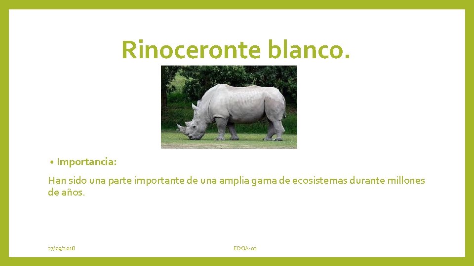 Rinoceronte blanco. • Importancia: Han sido una parte importante de una amplia gama de