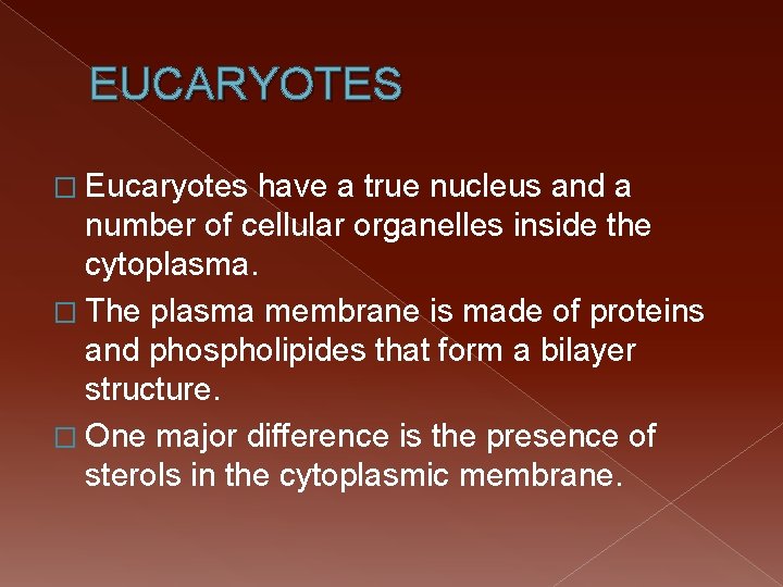 EUCARYOTES � Eucaryotes have a true nucleus and a number of cellular organelles inside