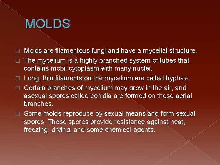 MOLDS � � � Molds are filamentous fungi and have a mycelial structure. The