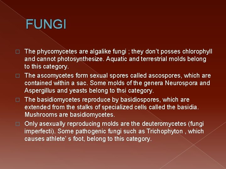 FUNGI The phycomycetes are algalike fungi ; they don’t posses chlorophyll and cannot photosynthesize.