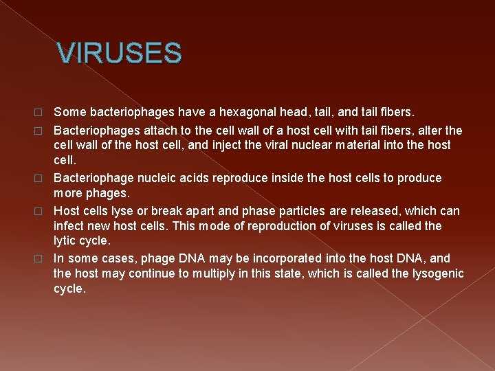 VIRUSES � � � Some bacteriophages have a hexagonal head, tail, and tail fibers.