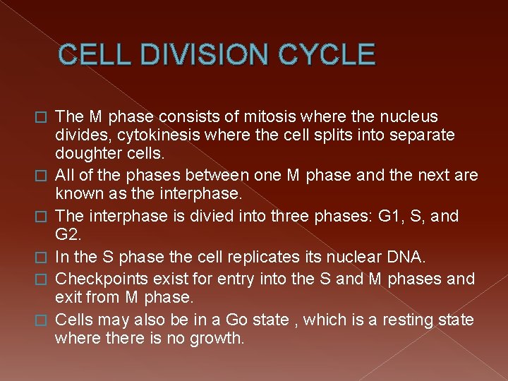 CELL DIVISION CYCLE � � � The M phase consists of mitosis where the