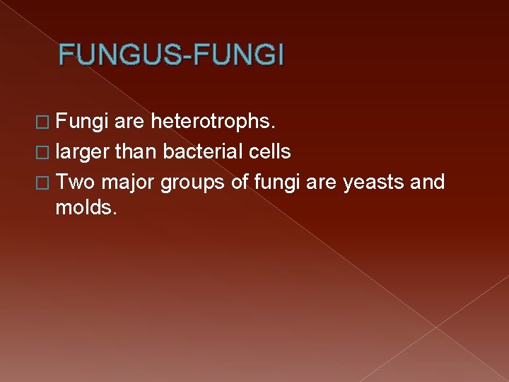 FUNGUS-FUNGI � Fungi are heterotrophs. � larger than bacterial cells � Two major groups