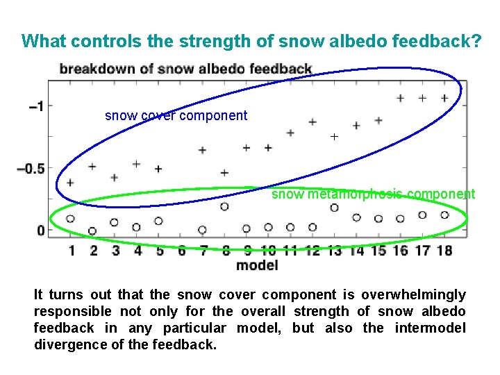 What controls the strength of snow albedo feedback? snow cover component snow metamorphosis component