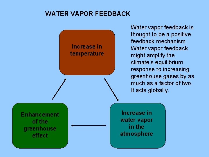 WATER VAPOR FEEDBACK Increase in temperature Enhancement of the greenhouse effect Water vapor feedback