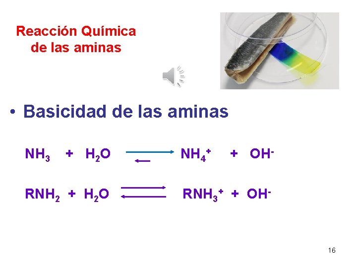Reacción Química de las aminas • Basicidad de las aminas NH 3 + H