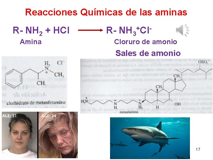 Reacciones Químicas de las aminas R- NH 2 + HCl Amina R- NH 3+Cl.