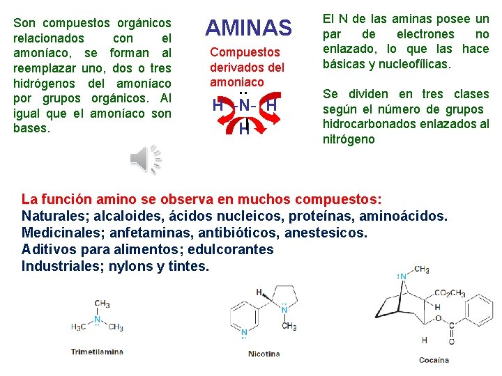 Son compuestos orgánicos relacionados con el amoníaco, se forman al reemplazar uno, dos o