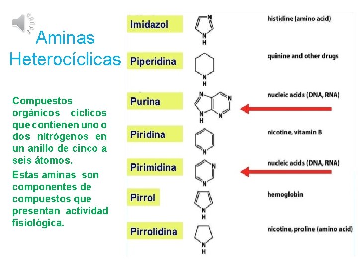 Aminas Heterocíclicas Compuestos orgánicos cíclicos que contienen uno o dos nitrógenos en un anillo