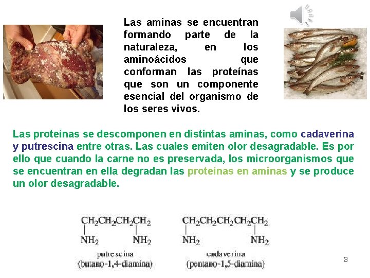 Las aminas se encuentran formando parte de la naturaleza, en los aminoácidos que conforman