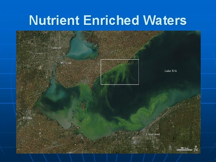 Nutrient Enriched Waters 