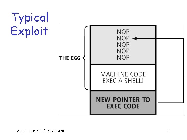 Typical Exploit Application and OS Attacks 14 