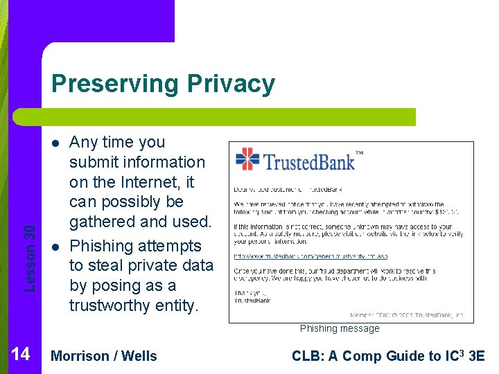 Preserving Privacy Lesson 30 l l Any time you submit information on the Internet, Preserving Privacy Lesson 30 l l Any time you submit information on the Internet,
