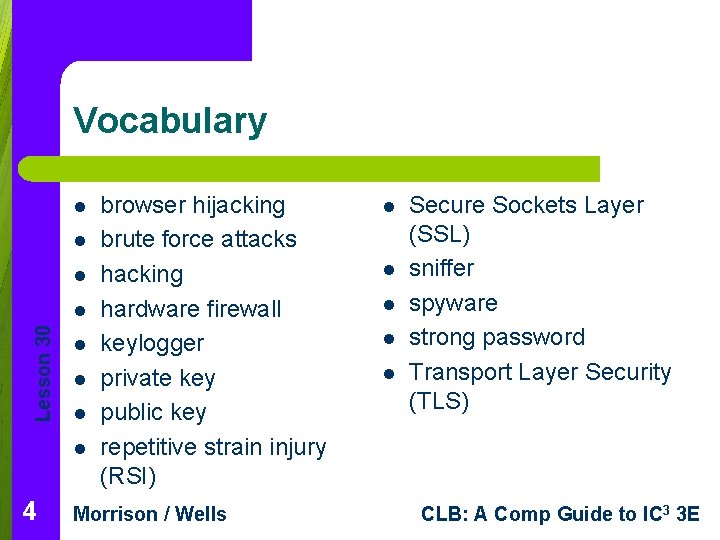 Vocabulary l l l Lesson 30 l l l 4 browser hijacking brute force Vocabulary l l l Lesson 30 l l l 4 browser hijacking brute force