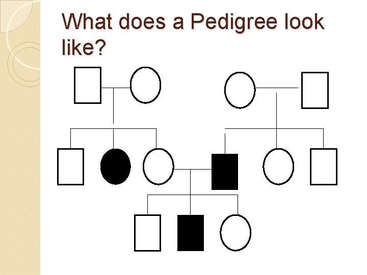 What does a Pedigree look like? 