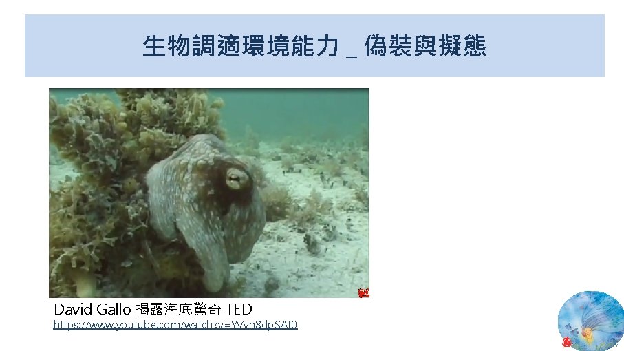 生物調適環境能力 _ 偽裝與擬態 David Gallo 揭露海底驚奇 TED https: //www. youtube. com/watch? v=YVvn 8 dp.