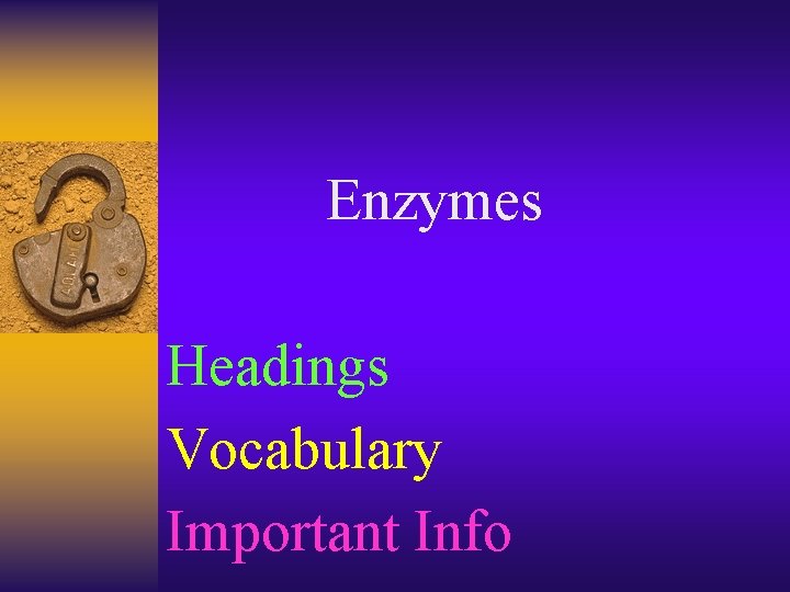 Enzymes Headings Vocabulary Important Info 