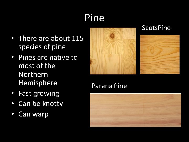 Pine • There about 115 species of pine • Pines are native to most