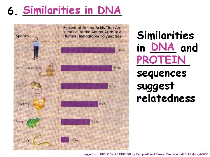 Similarities in DNA 6. ________ Similarities DNA and in ____ PROTEIN ____ sequences suggest
