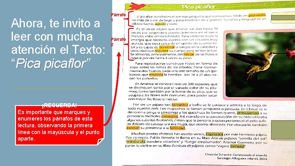 Ahora, te invito a leer con mucha atención el Texto: “Pica picaflor” ¡RECUERDA! Es