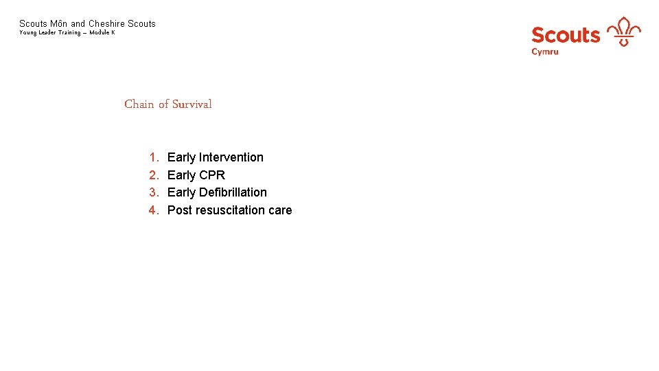 Scouts Môn and Cheshire Scouts Young Leader Training – Module K Chain of Survival