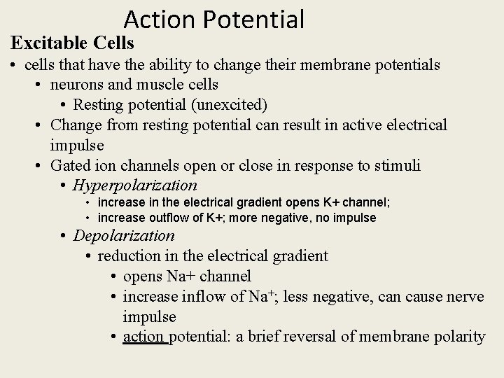 Action Potential Excitable Cells • cells that have the ability to change their membrane