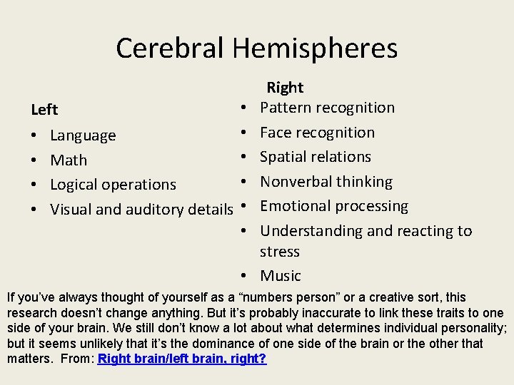 Cerebral Hemispheres • • Language • Math • Logical operations Visual and auditory details