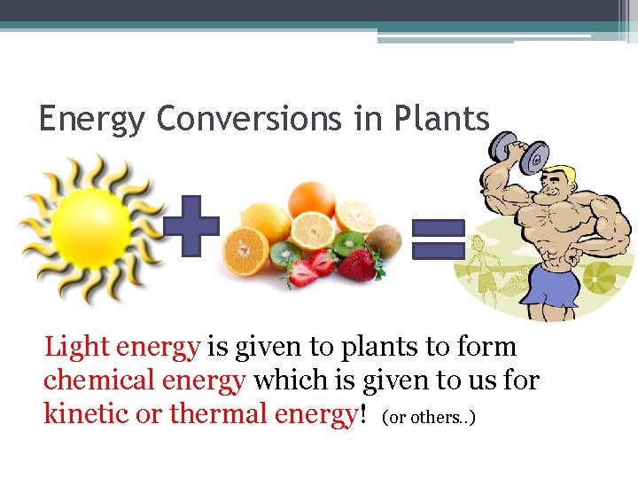 Energy Conversions in Plants Light energy is given to plants to form chemical energy