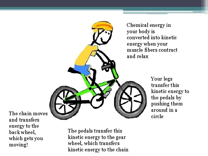 Chemical energy in your body is converted into kinetic energy when your muscle fibers